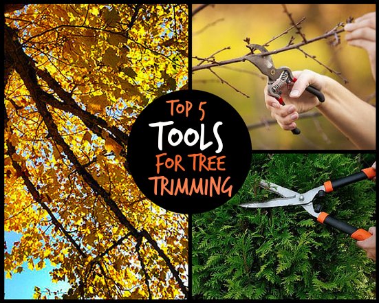 best tools for tree trimming pruning