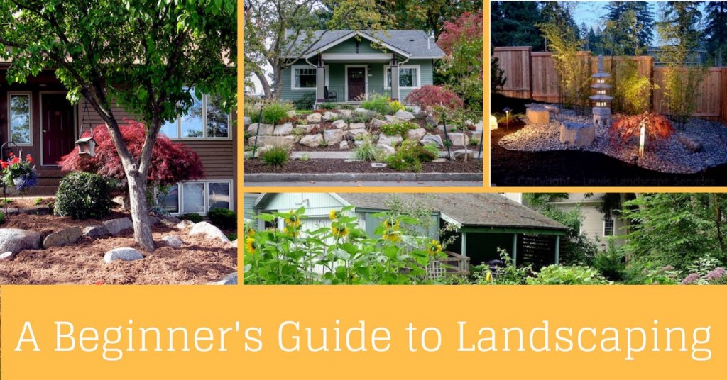 beginners-guide-to-landscaping