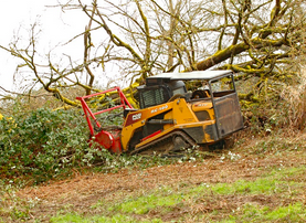 forestry services portland or