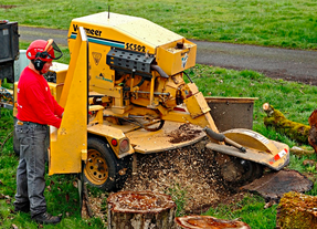 stump grinding portland or