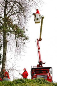 NW-Arbor-Boom-Lift