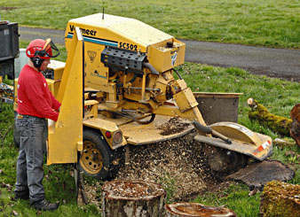 NWArbor-Stump-Grinding