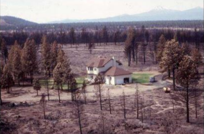 protect your home from wildfire with plants