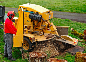 stump grinding machinery