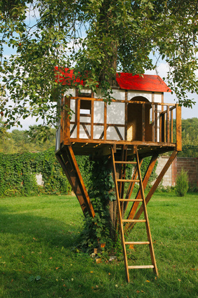 small treehouse ladder