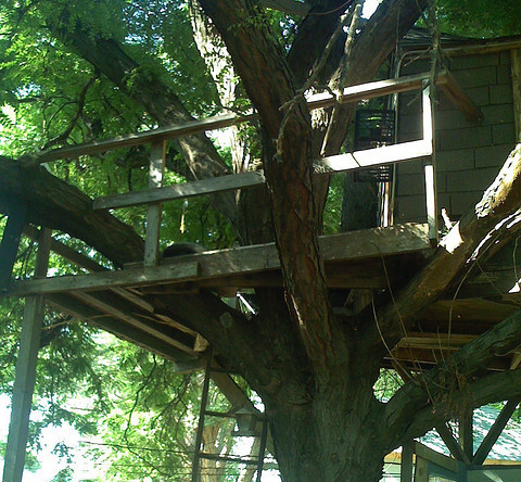 treehouse handrails