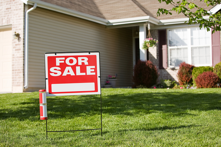 home for sale tree inspection