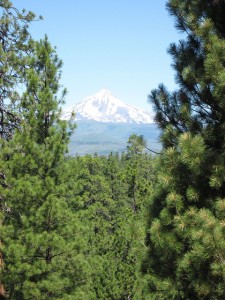 oregon mount hood