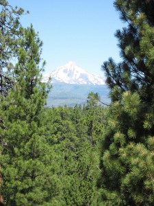 oregon mount hood