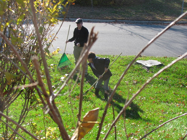 raking leaves front yard