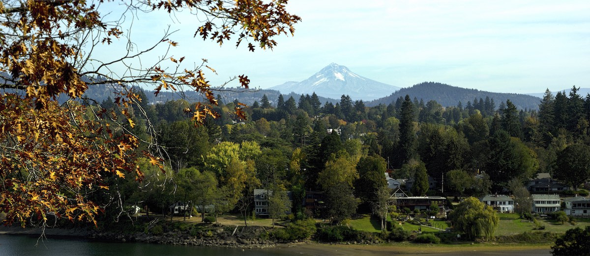 Portland Tree Planting