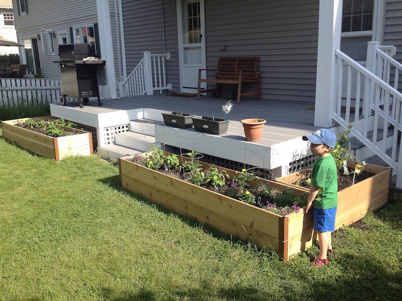 raised-garden-beds